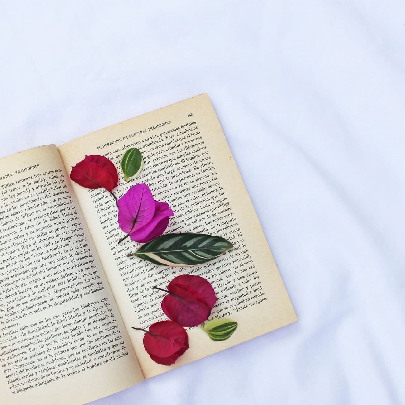 A leaf from your park, pressed in a book